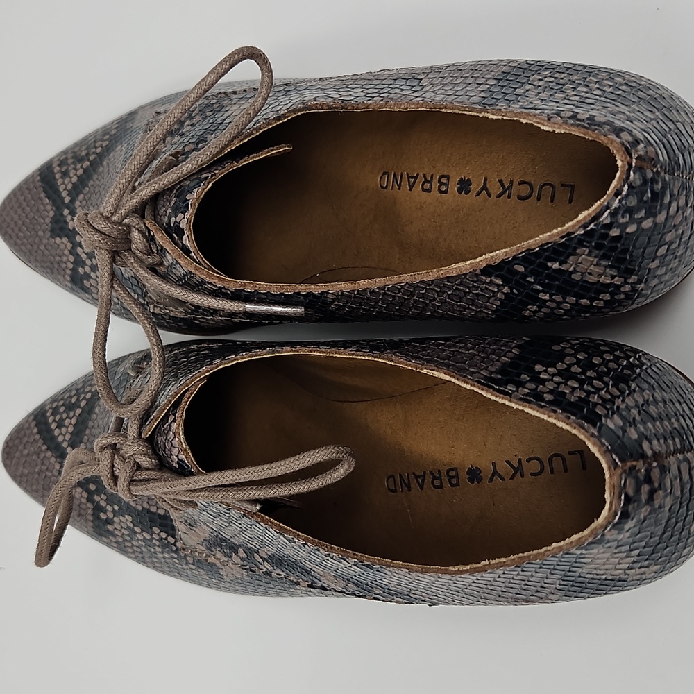 Lucky Brand Erreka Snakeskin Lace-Up Derby Oxfords Womans 7M - Picture 5 of 11